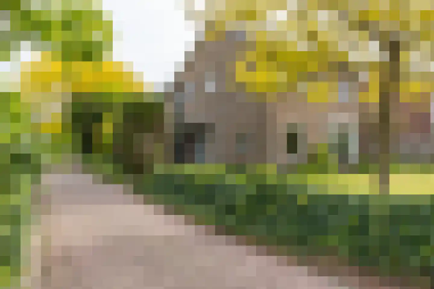 Curaçaostraat 16 Winterswijk thumbnail 44