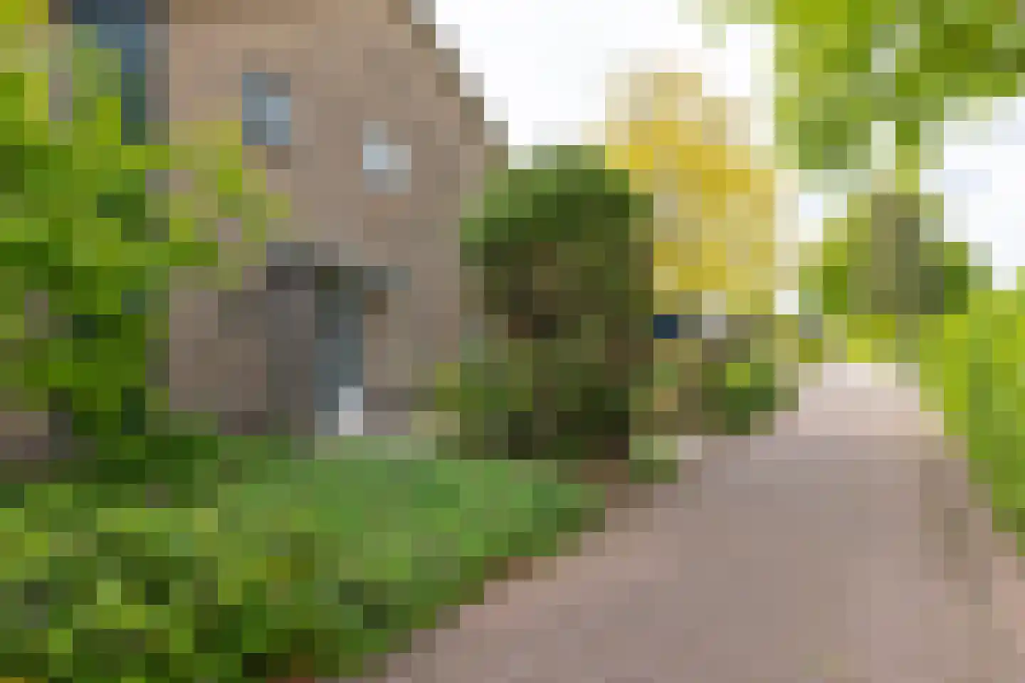 Curaçaostraat 16 Winterswijk thumbnail 46