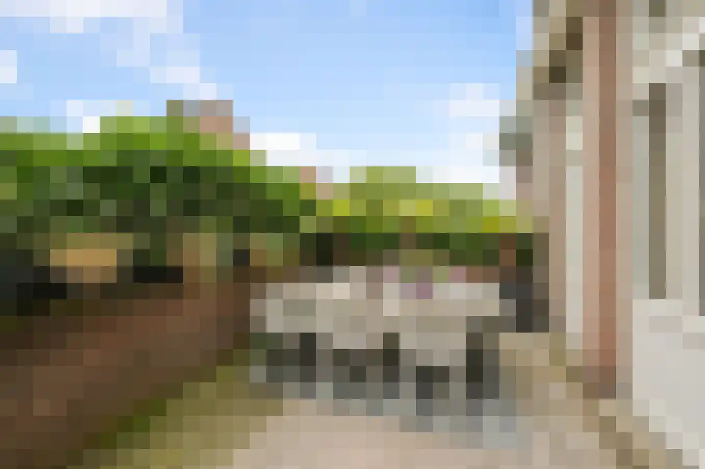 Curaçaostraat 2 Alphen aan den Rijn thumbnail 27