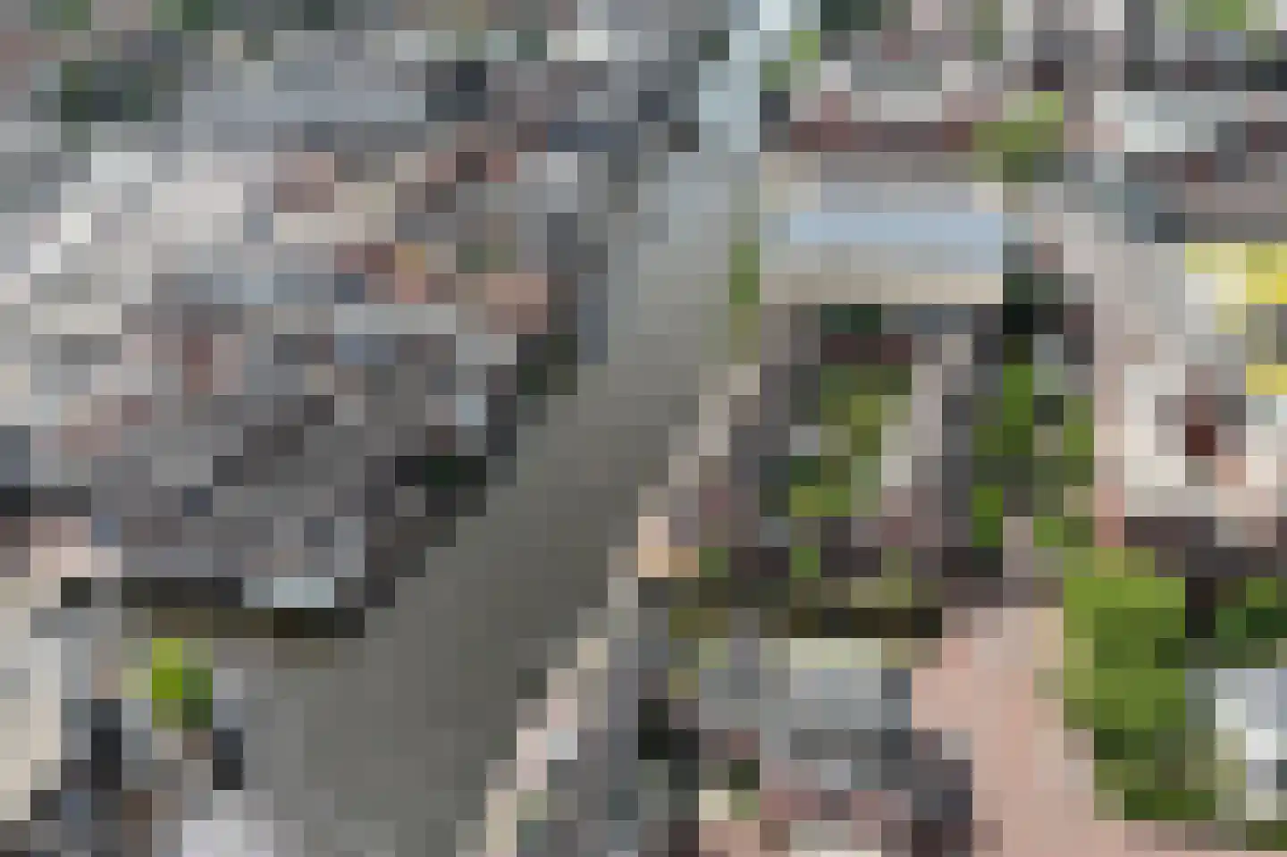 Curaçaostraat 2 Alphen aan den Rijn thumbnail 33