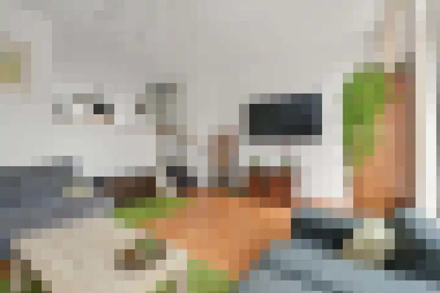 Curaçaostraat 2 Alphen aan den Rijn thumbnail 6