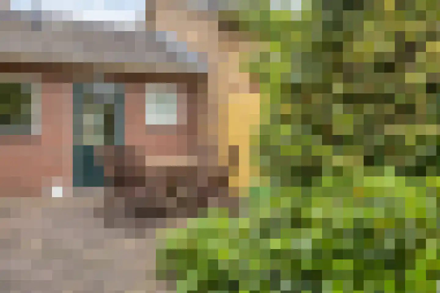 Curaçaostraat 25 Winterswijk thumbnail 32