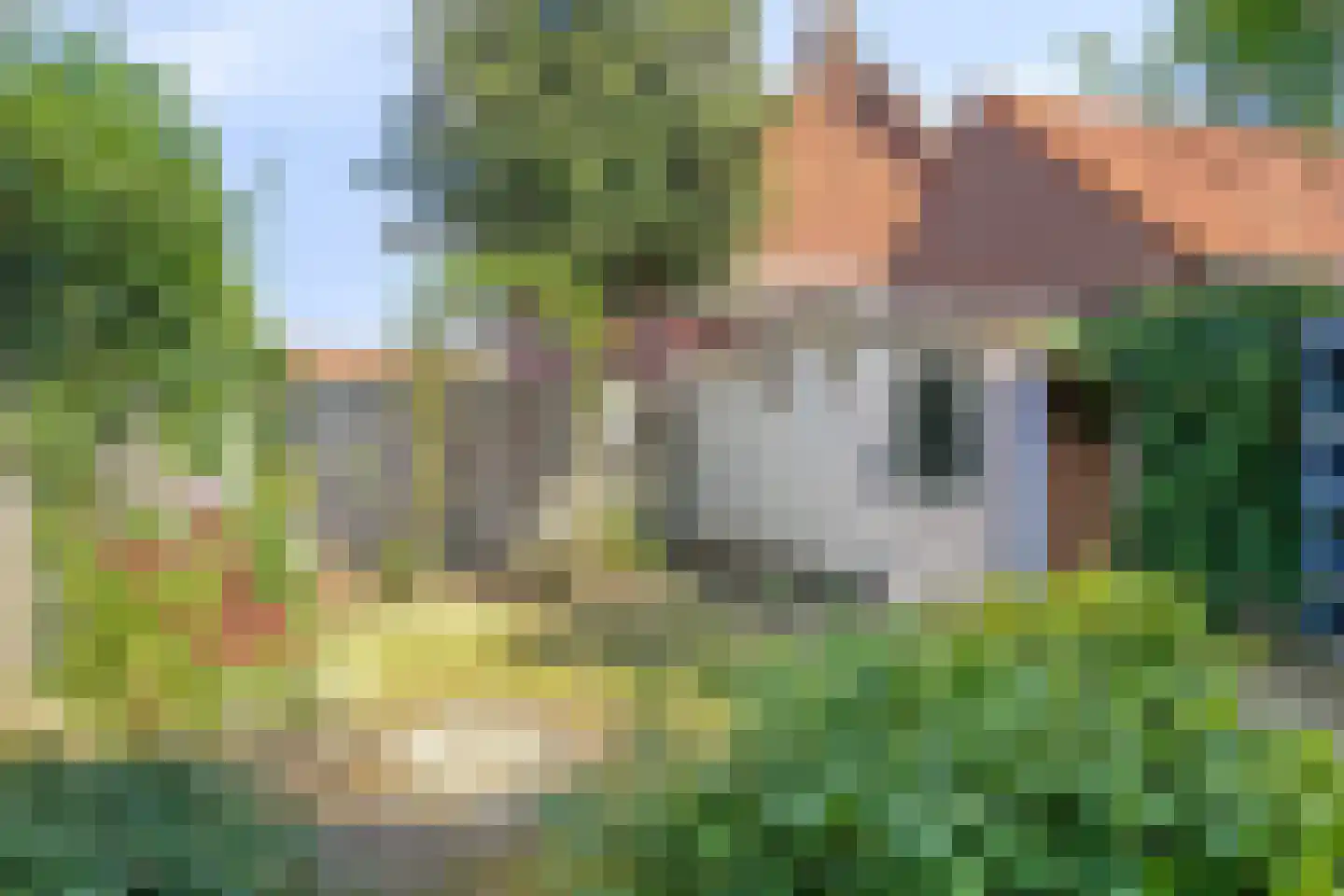 Curaçaostraat 4 Hengelo thumbnail 34