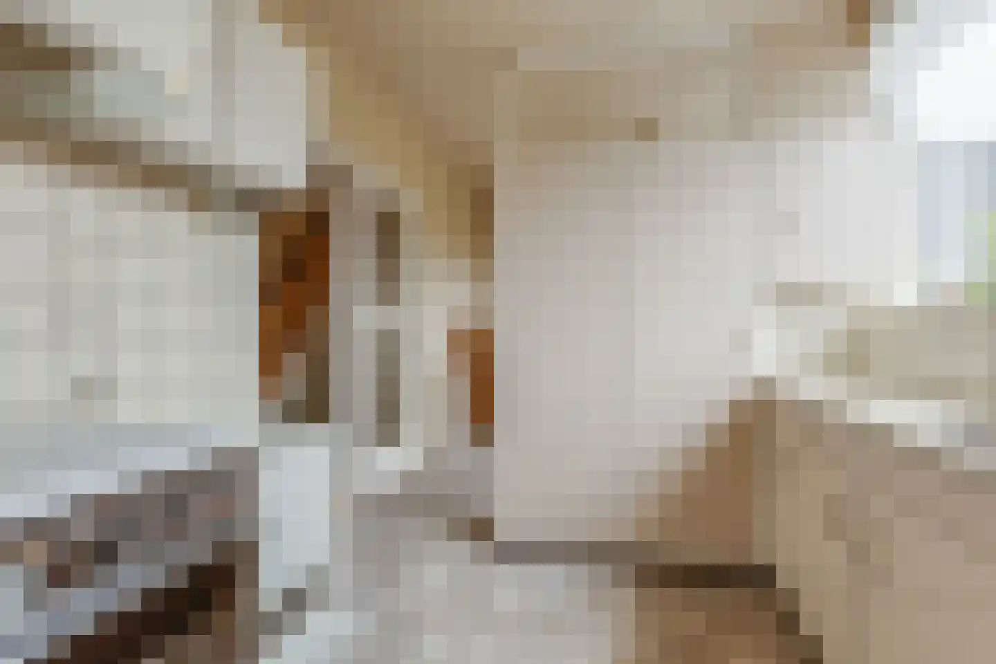 Curaçaostraat 5 Winterswijk thumbnail 17