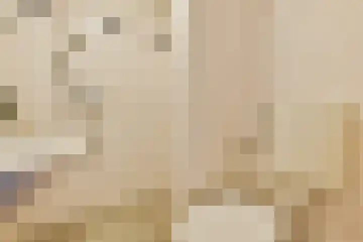 Curaçaostraat 74 H Amsterdam thumbnail 22
