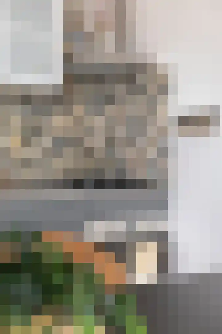 Curaçaostraat 77 Groningen thumbnail 14