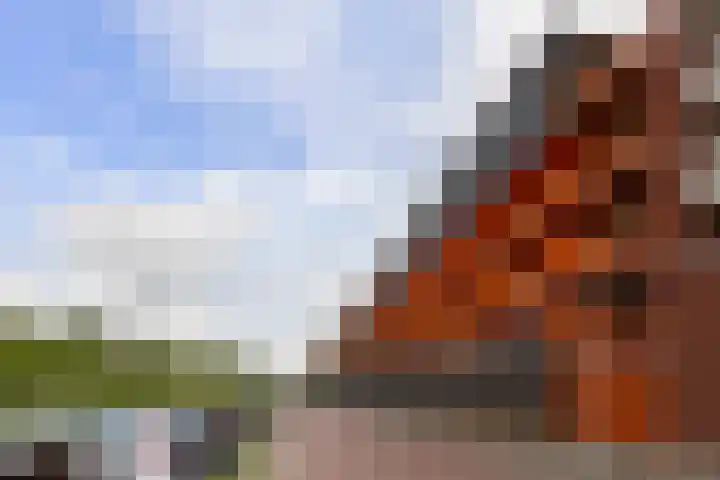 Curaçaostraat 77 Groningen thumbnail 4