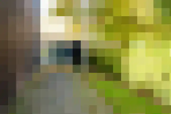 Curaçaostraat 91 Groningen thumbnail 37