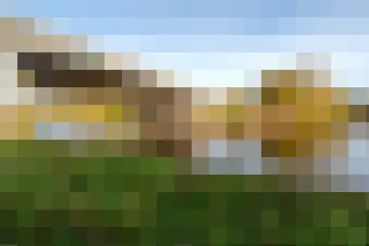Curaçaostraat 91 Groningen thumbnail 44