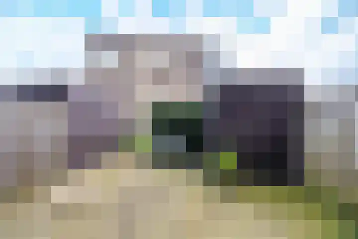 Curaçaostraat 99 Groningen thumbnail 16