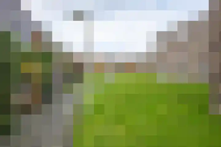 Curaçaostraat 99 Groningen thumbnail 18