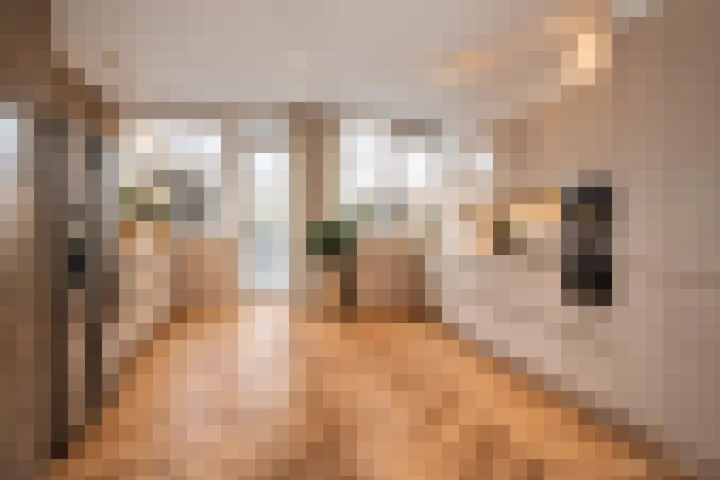 Curcumastraat 25 Hoogvliet Rotterdam thumbnail 8