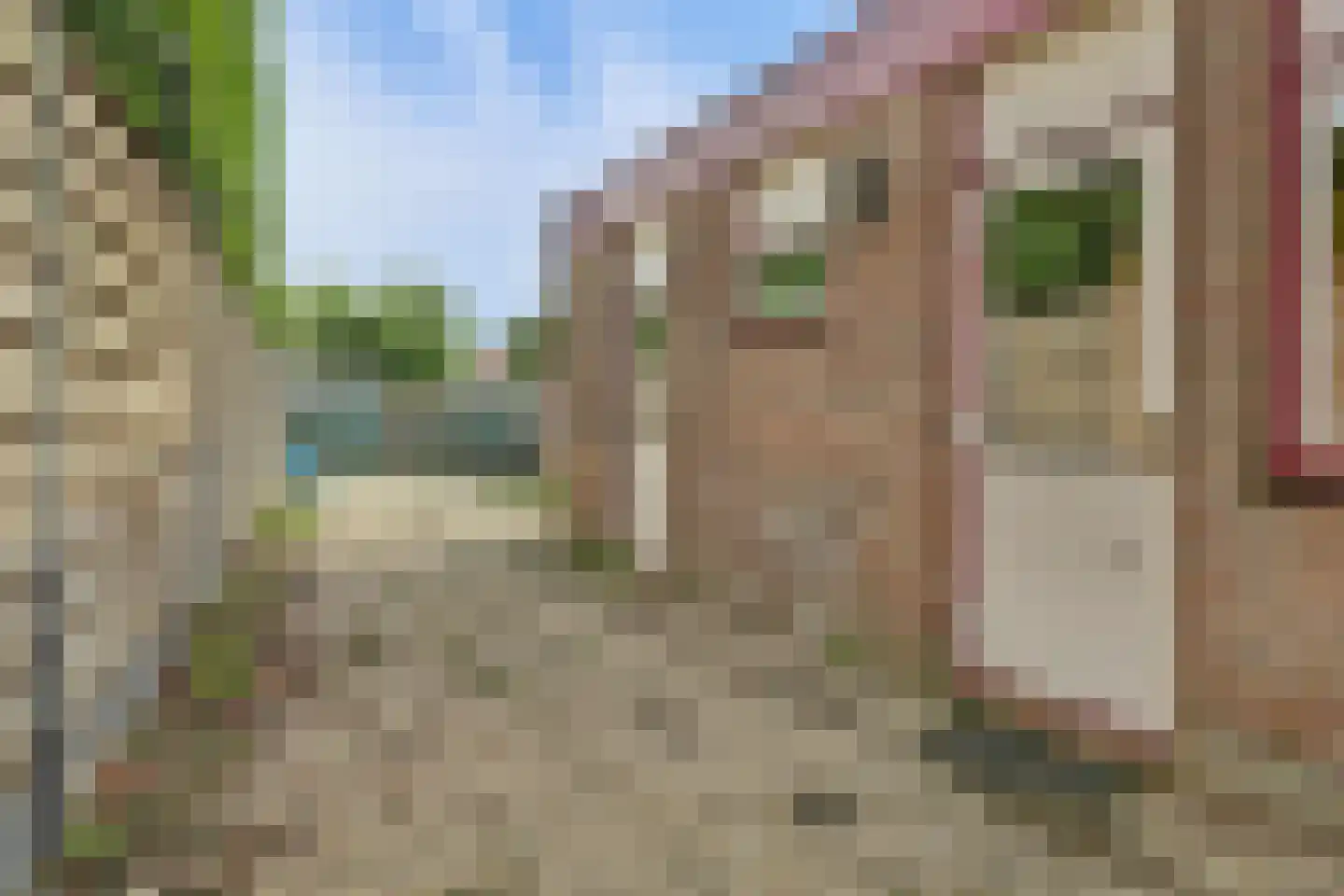 Cureestraat 19 Sint-Annaland thumbnail 36