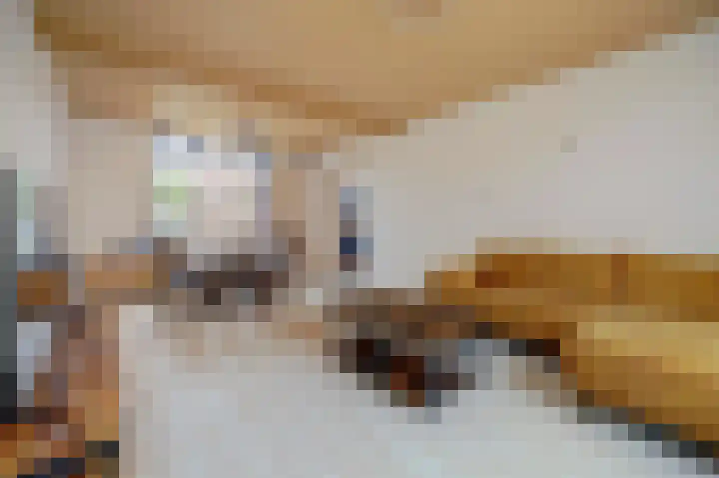 Cureestraat 19 Sint-Annaland thumbnail 4