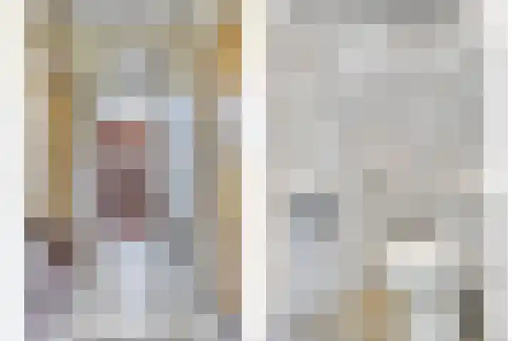 Curielaan 1 Pijnacker thumbnail 10