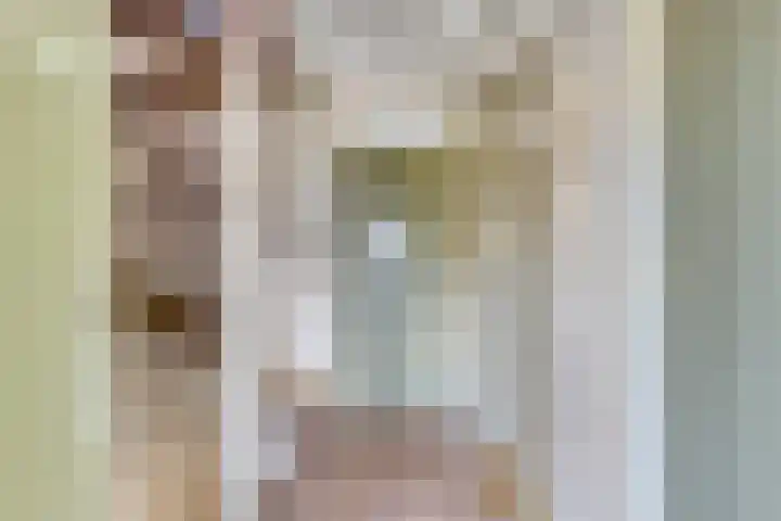 Curielaan 1 Pijnacker thumbnail 11
