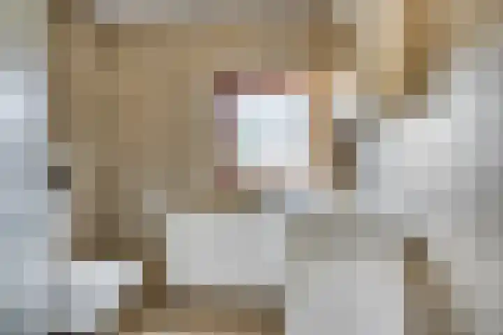 Curielaan 1 Pijnacker thumbnail 14