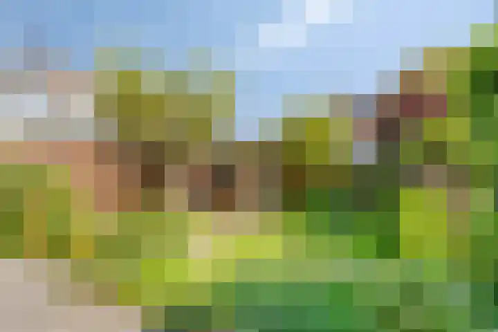 Curielaan 1 Pijnacker thumbnail 4