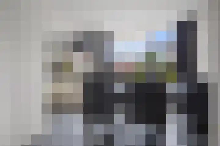 Curielaan 29 Vlijmen thumbnail 13