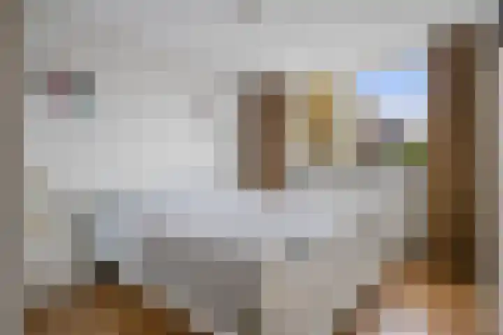 Curielaan 29 Vlijmen thumbnail 22