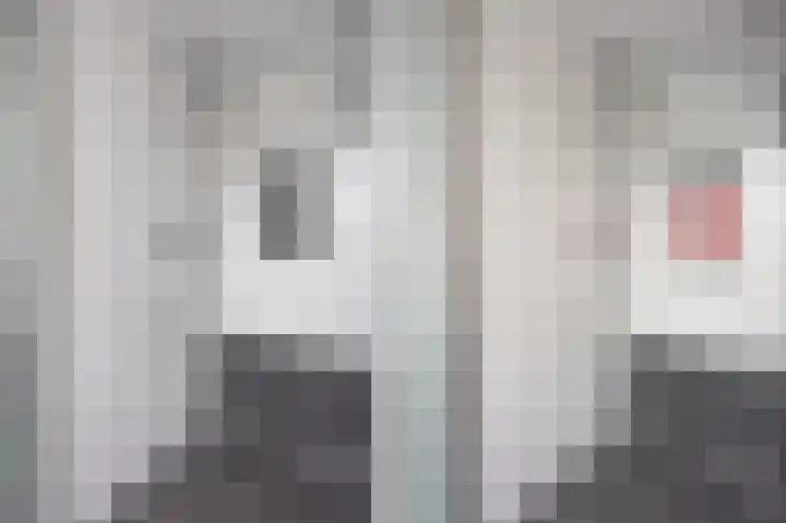 Curielaan 29 Vlijmen thumbnail 25