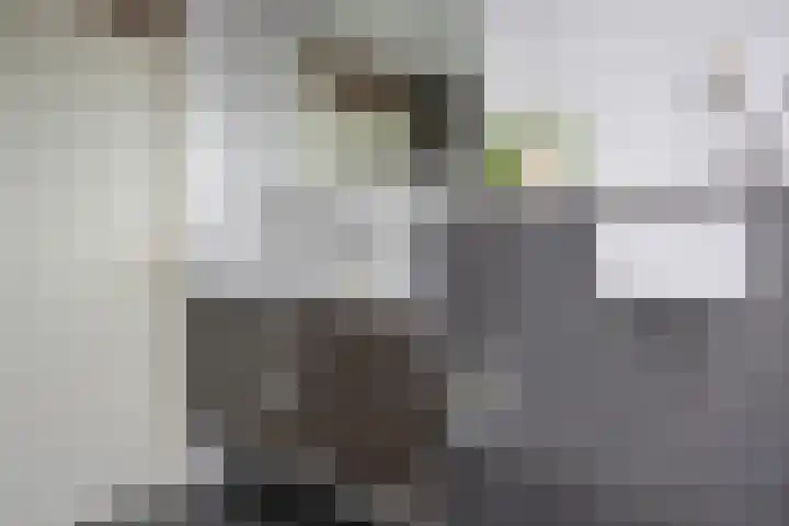 Curielaan 29 Vlijmen thumbnail 27
