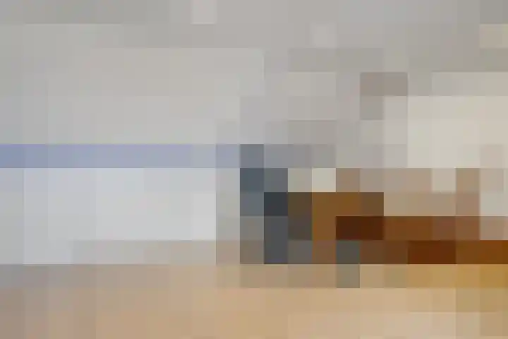 Curielaan 29 Vlijmen thumbnail 30