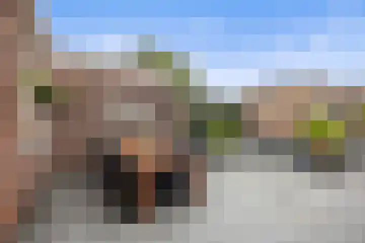 Curielaan 29 Vlijmen thumbnail 31