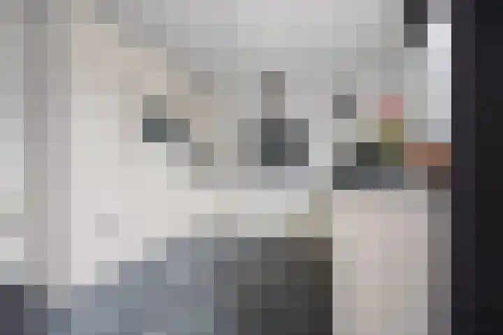 Curielaan 29 Vlijmen thumbnail 4