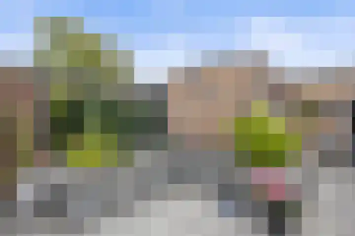 Curielaan 29 Vlijmen thumbnail 5