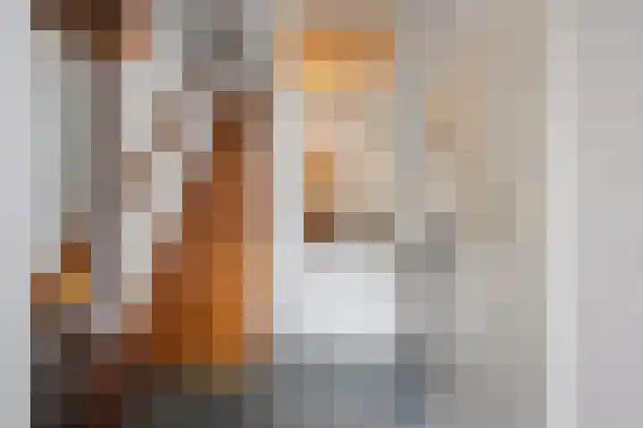 Curielaan 29 Vlijmen thumbnail 7
