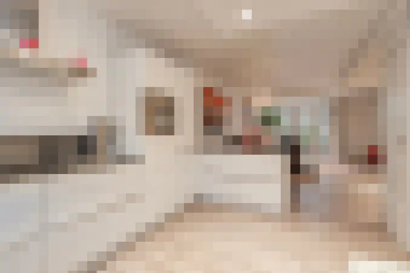 Curielaan 33 Vlijmen thumbnail 13