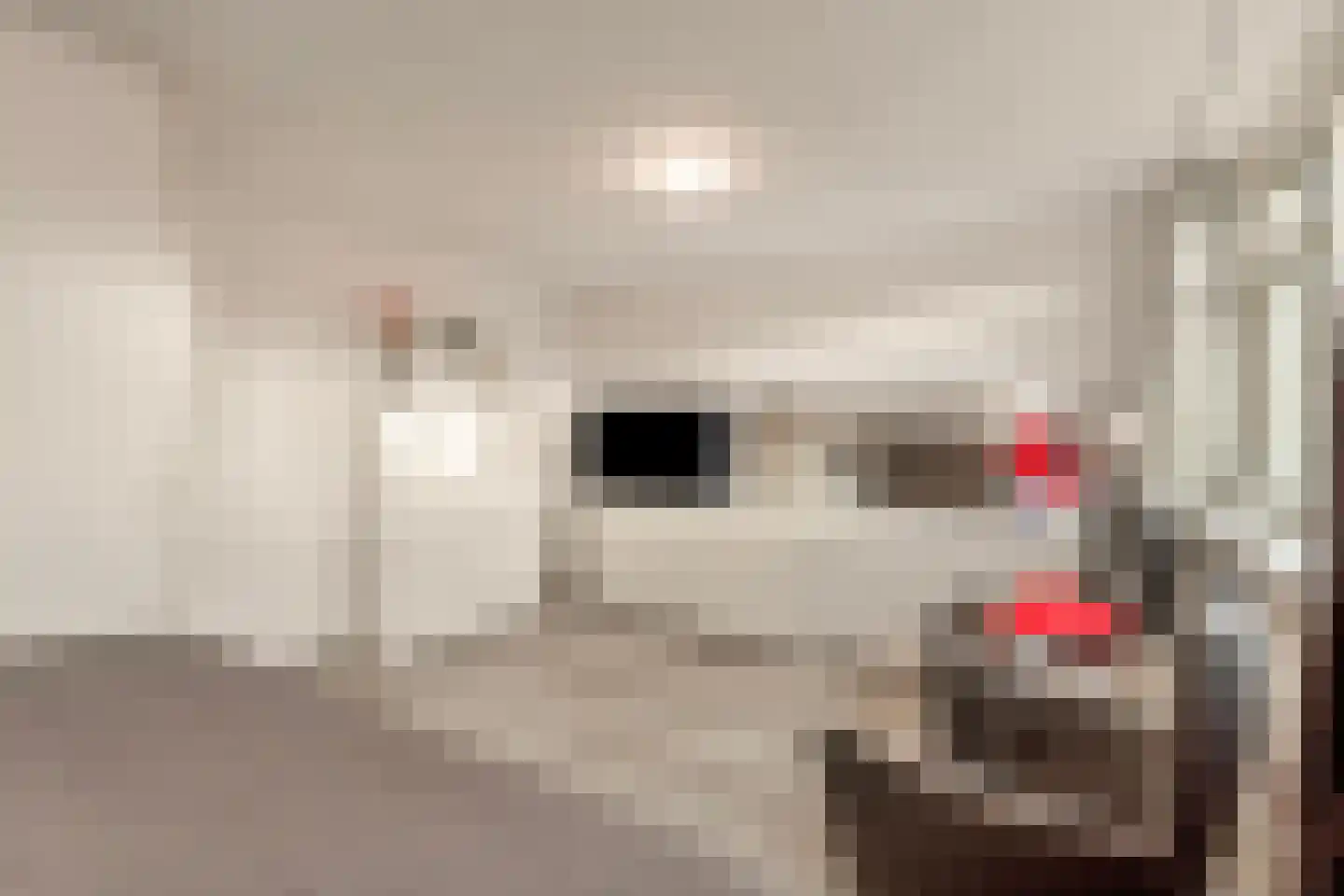 Curielaan 33 Vlijmen thumbnail 18