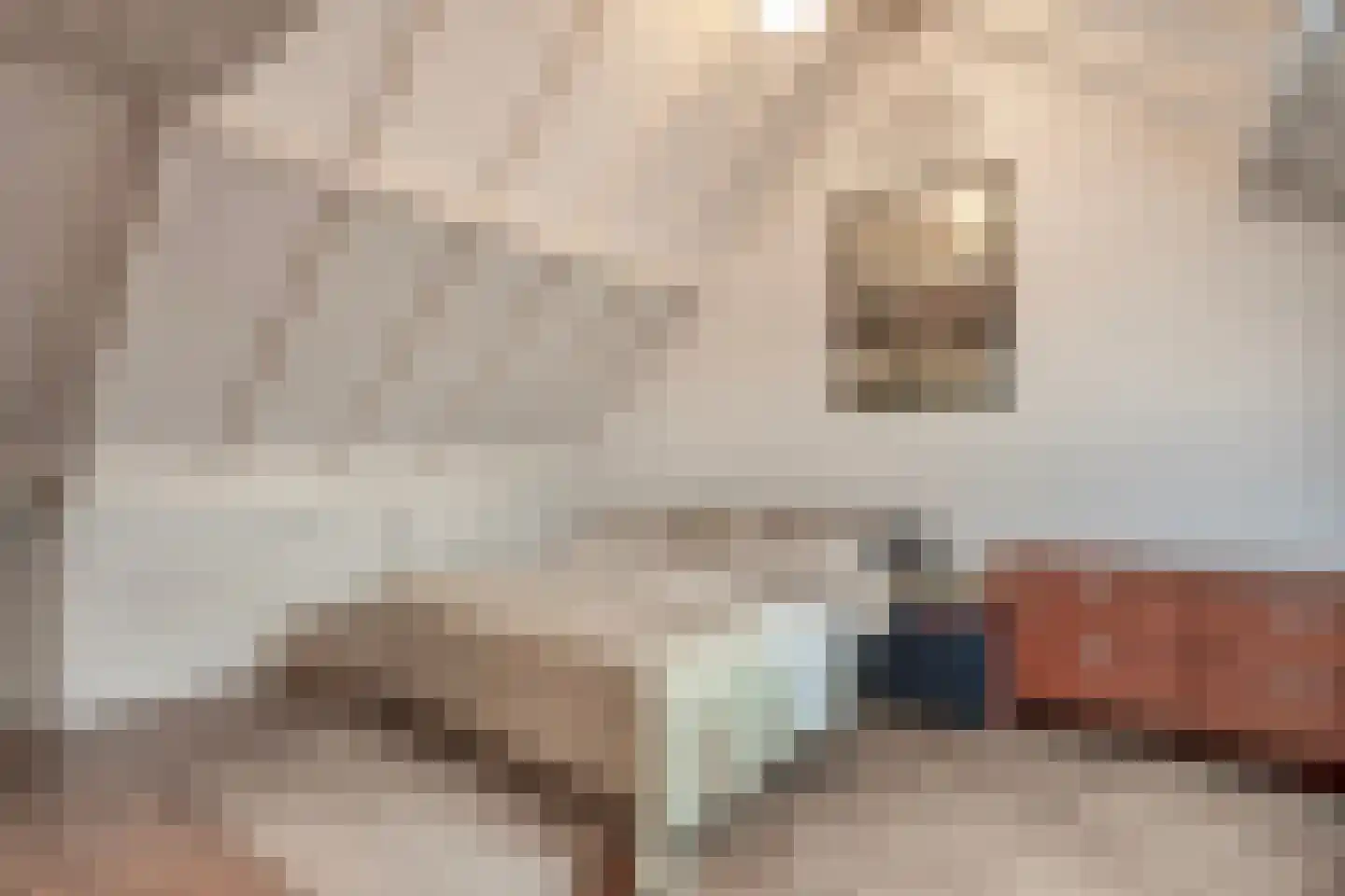 Curielaan 33 Vlijmen thumbnail 23
