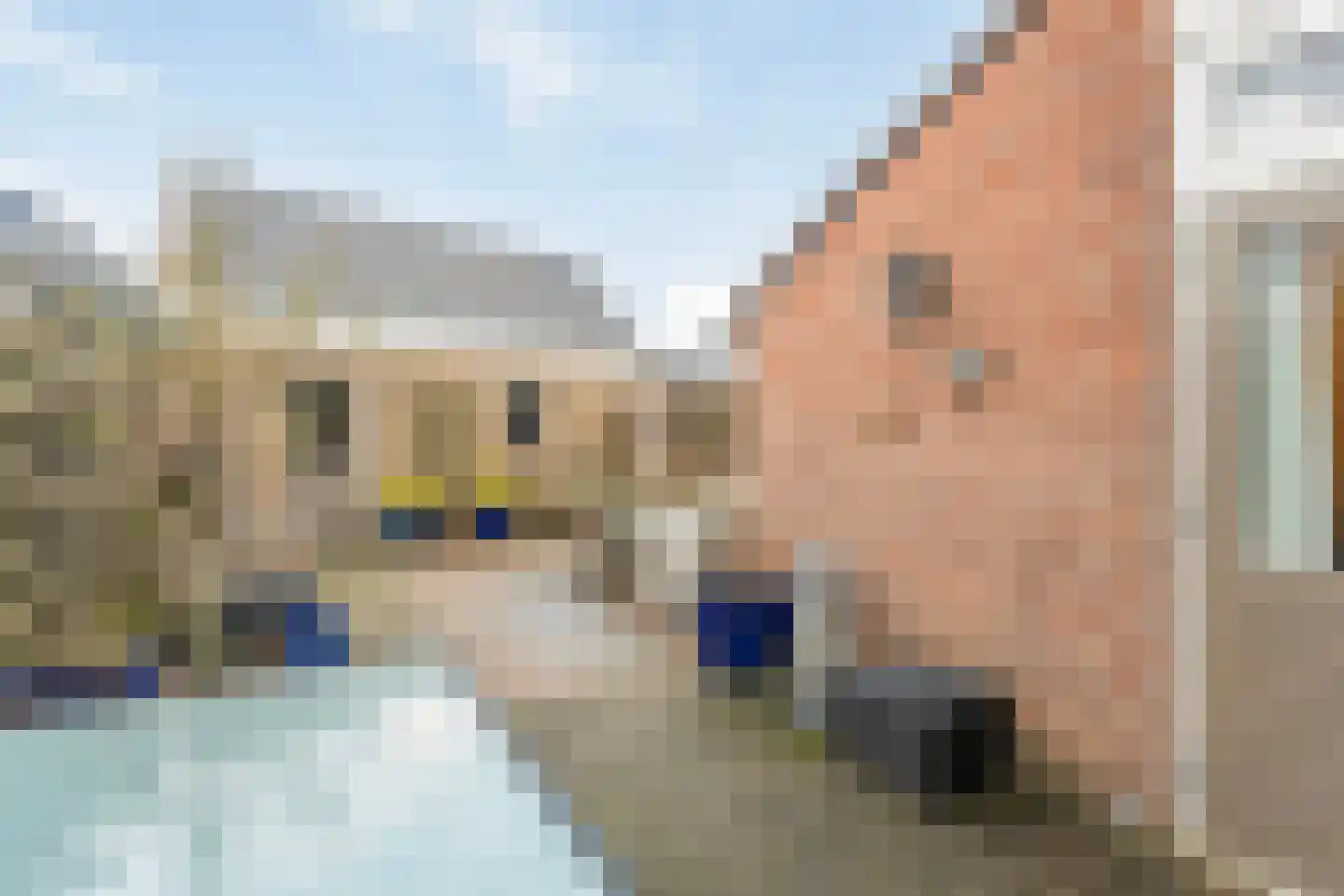 Curielaan 33 Vlijmen thumbnail 25