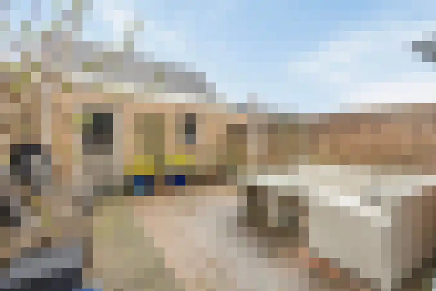 Curielaan 33 Vlijmen thumbnail 4