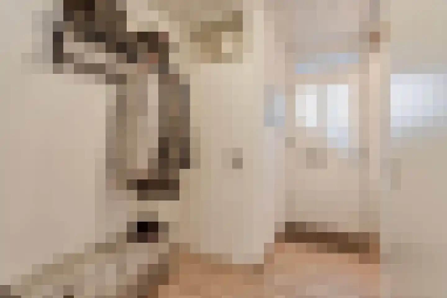 Curielaan 33 Vlijmen thumbnail 5