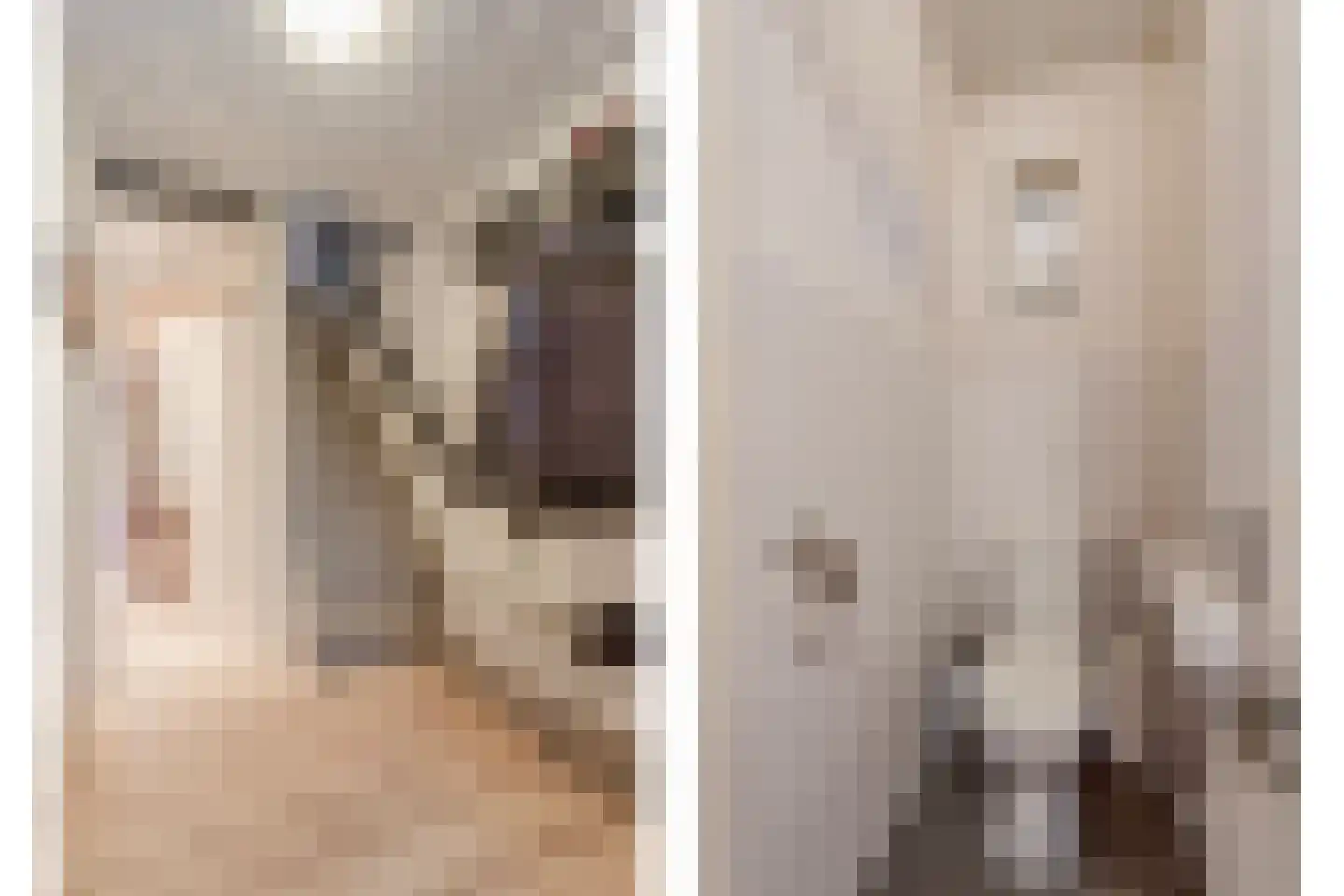 Curielaan 33 Vlijmen thumbnail 6