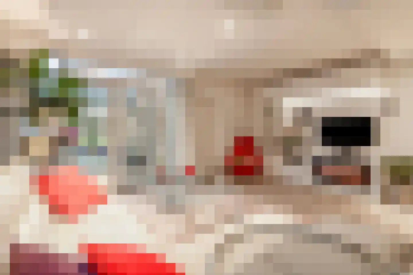 Curielaan 33 Vlijmen thumbnail 8