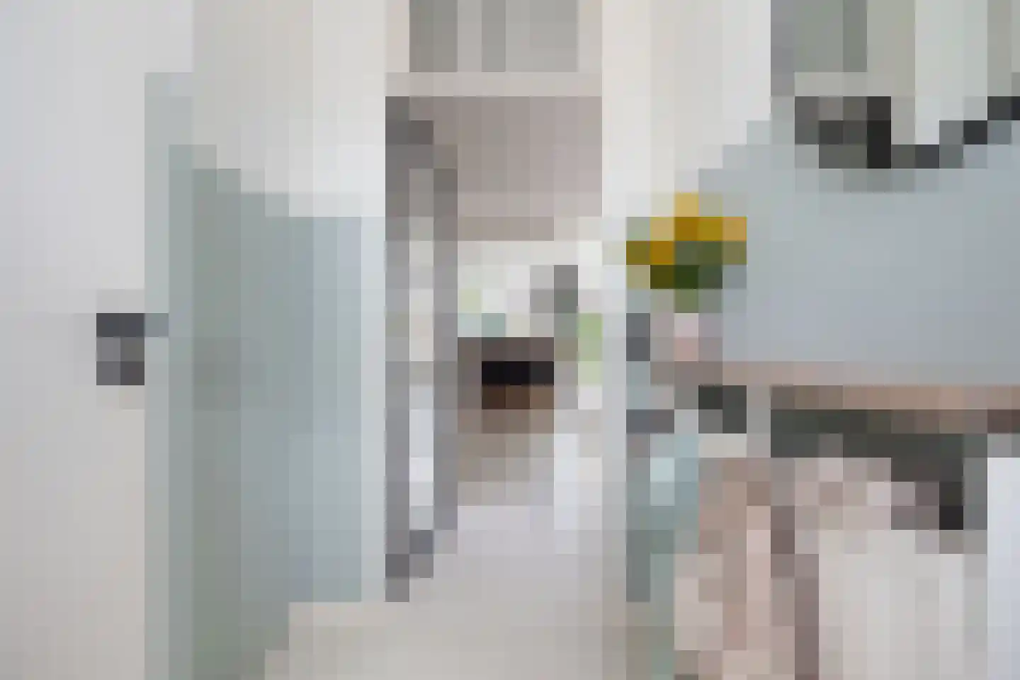 Curielaan 8 Vlijmen thumbnail 11