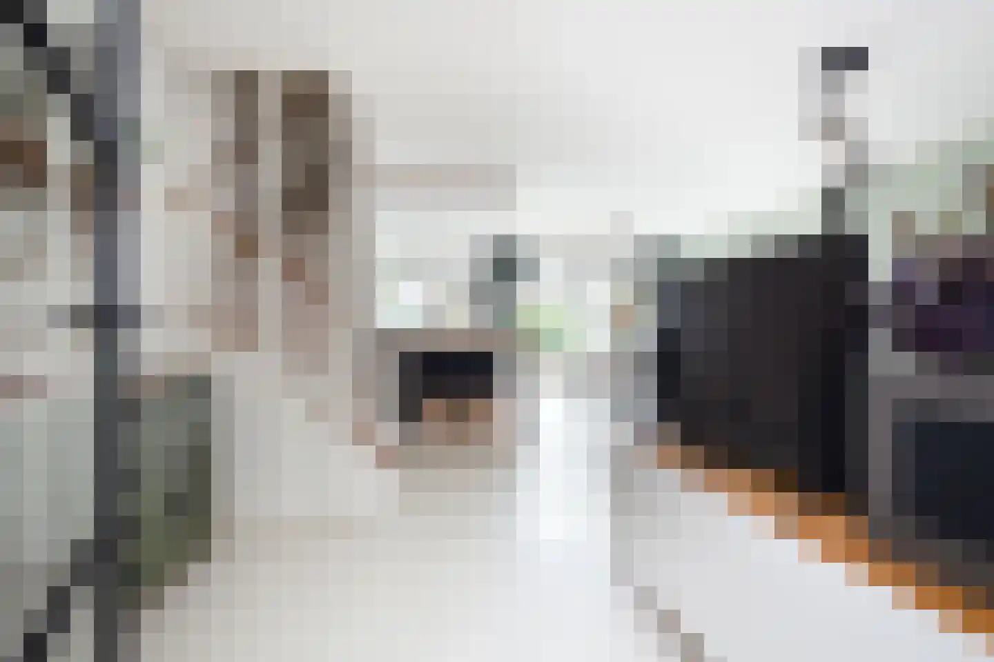 Curielaan 8 Vlijmen thumbnail 12