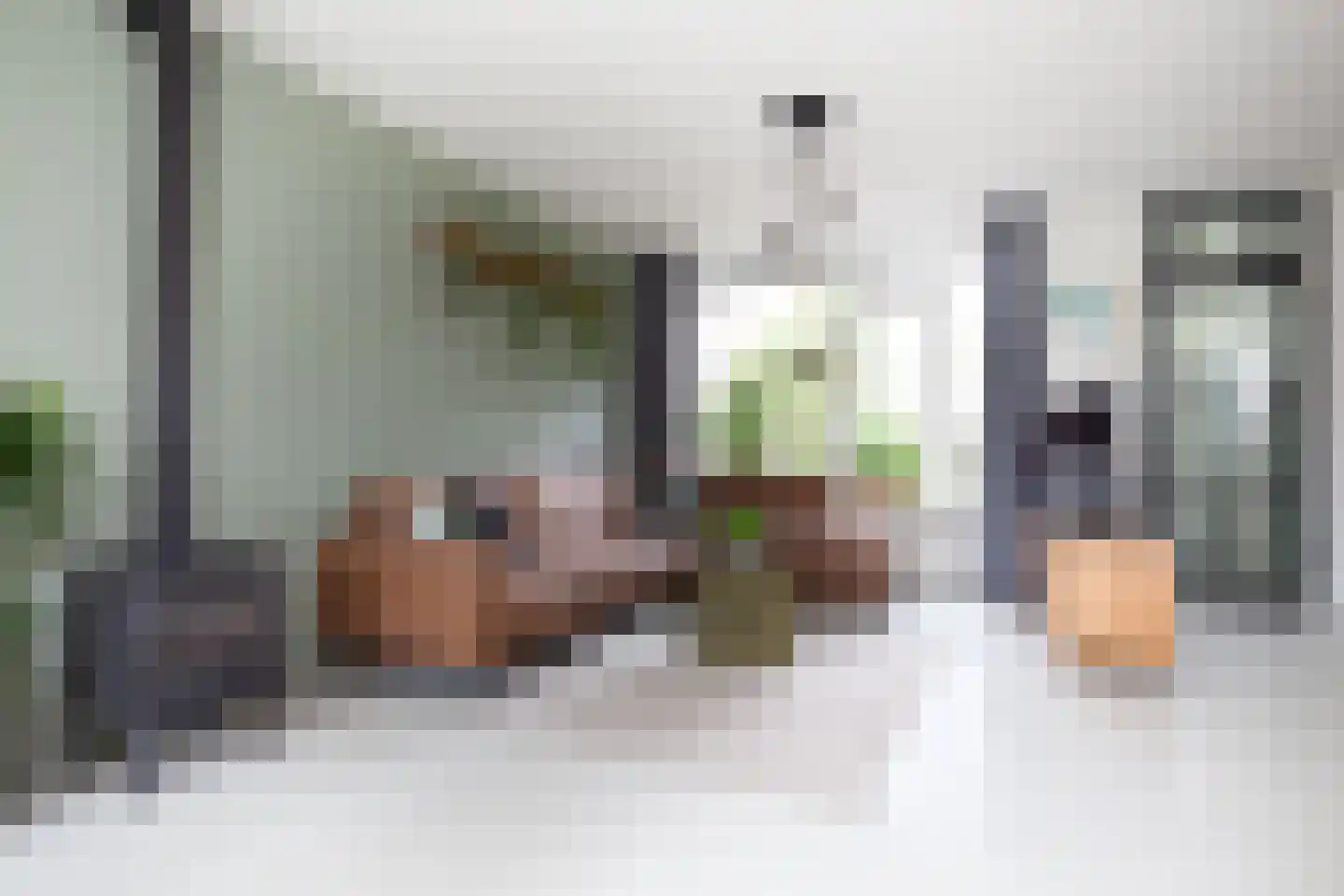 Curielaan 8 Vlijmen thumbnail 14