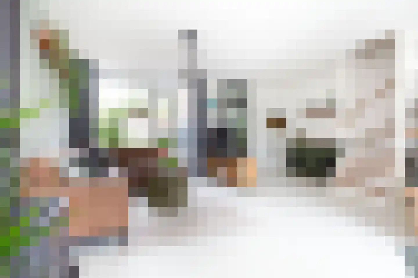 Curielaan 8 Vlijmen thumbnail 15