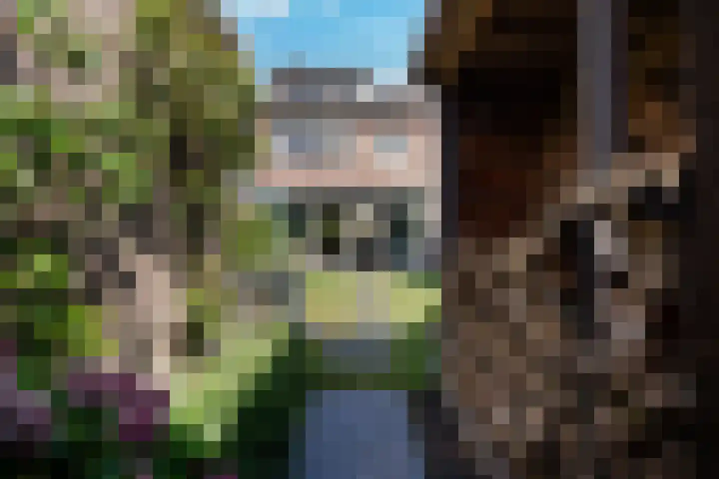 Curielaan 8 Vlijmen thumbnail 32