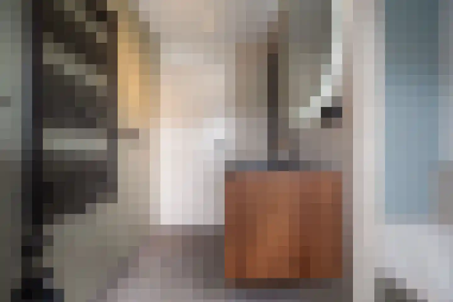 Curielaan 8 Vlijmen thumbnail 40