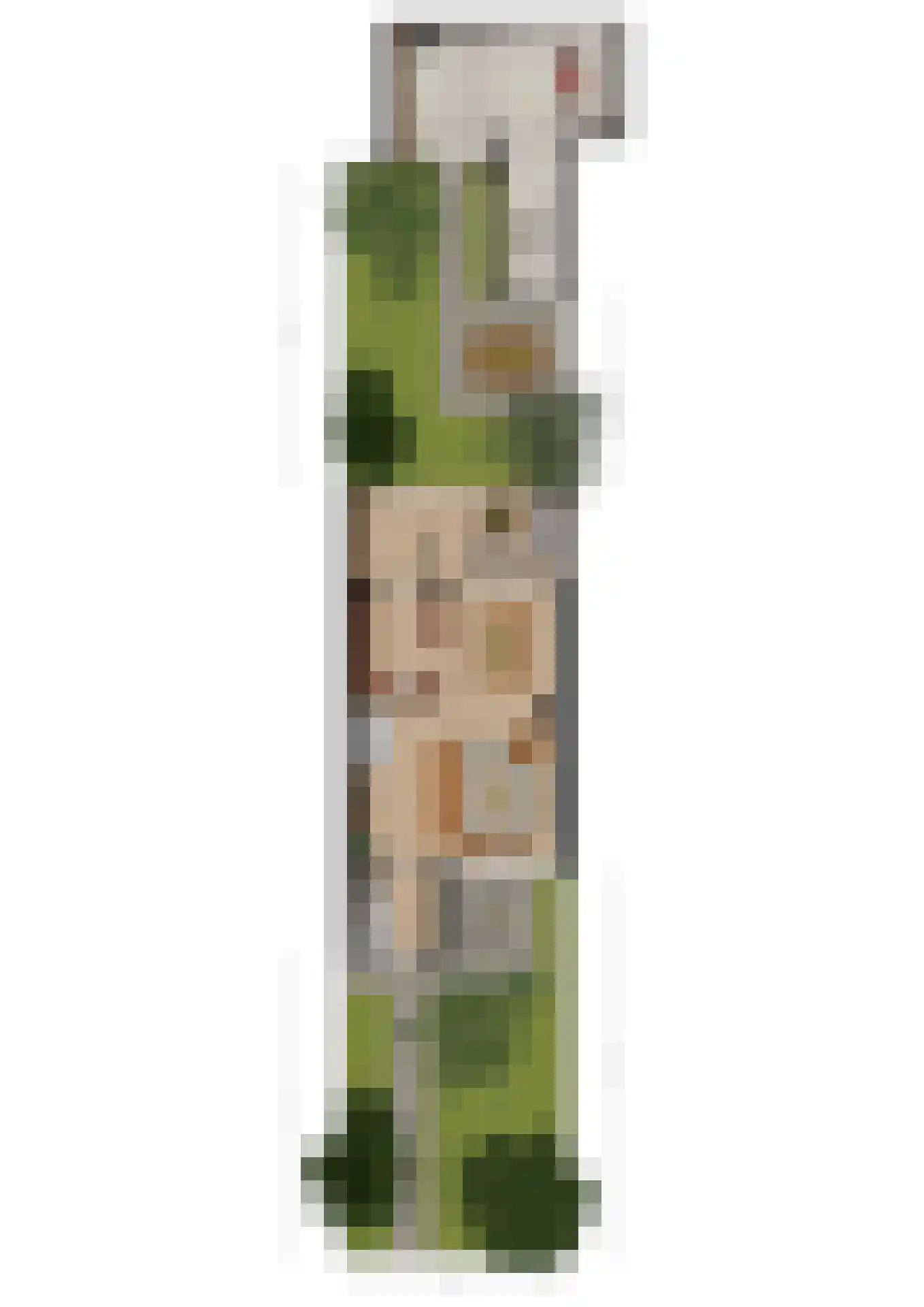 Curielaan 8 Vlijmen thumbnail 45