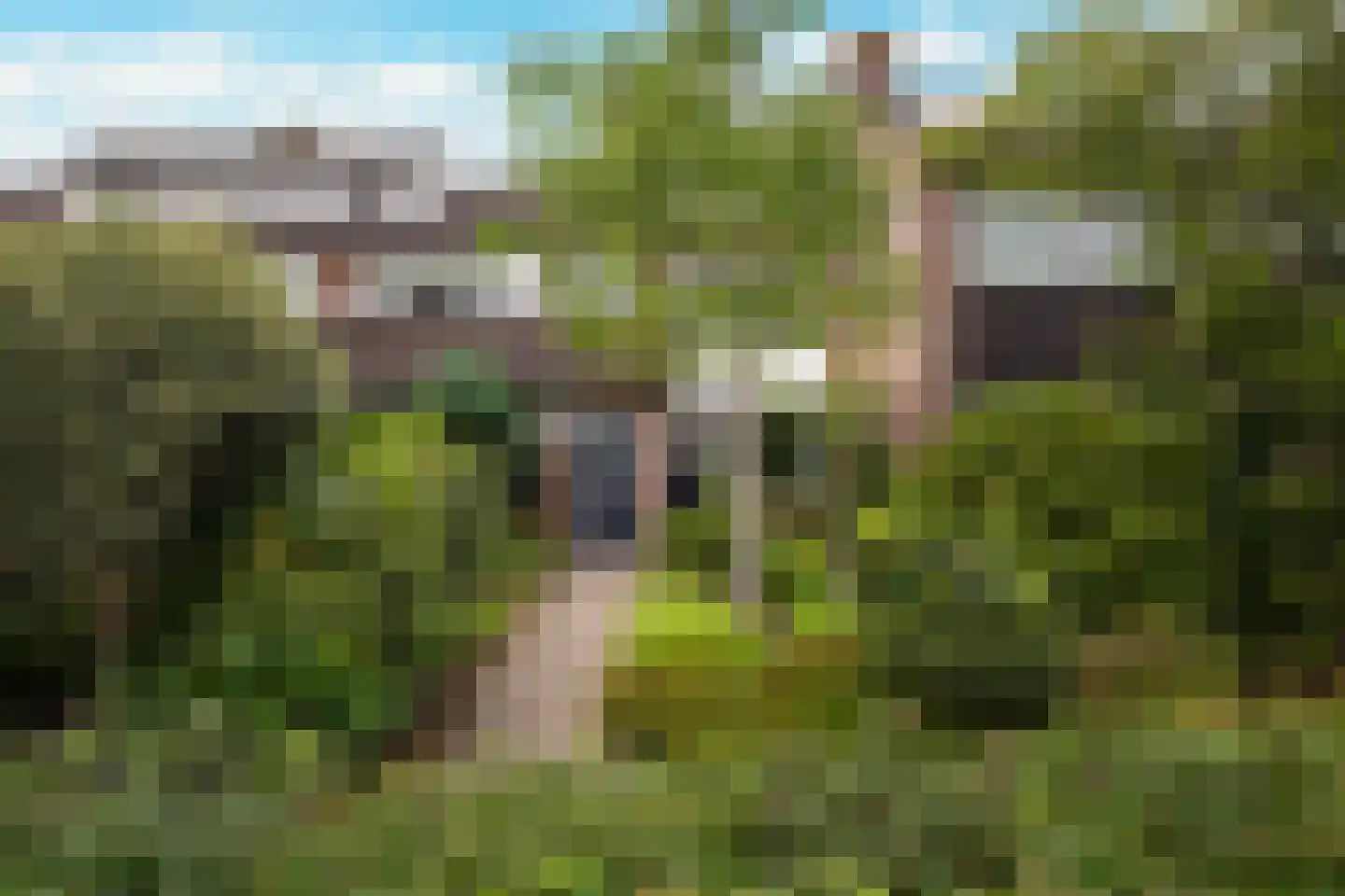 Curielaan 8 Vlijmen thumbnail 6