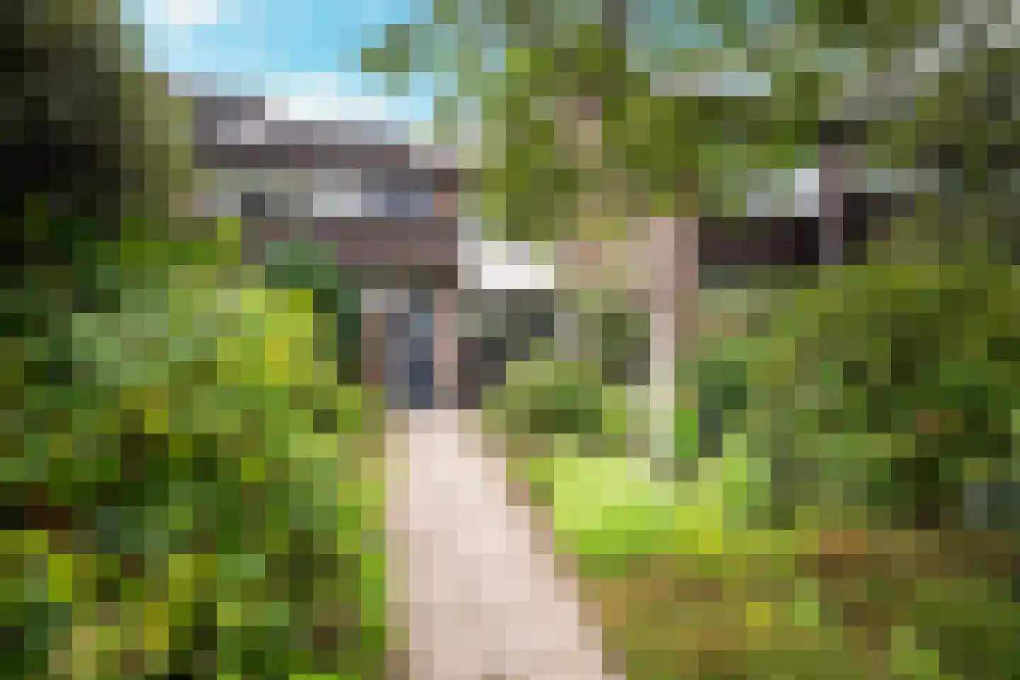 Curielaan 8 Vlijmen thumbnail 7