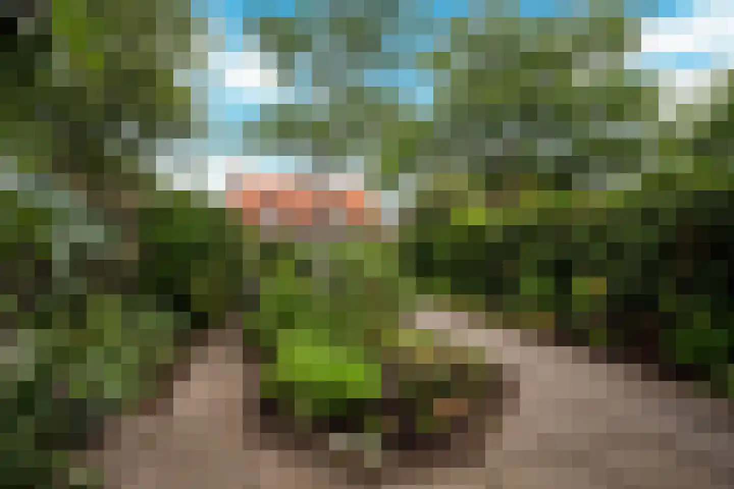 Curielaan 8 Vlijmen thumbnail 8