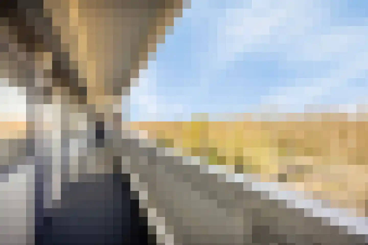 Curieplaats 121 Rotterdam thumbnail 22